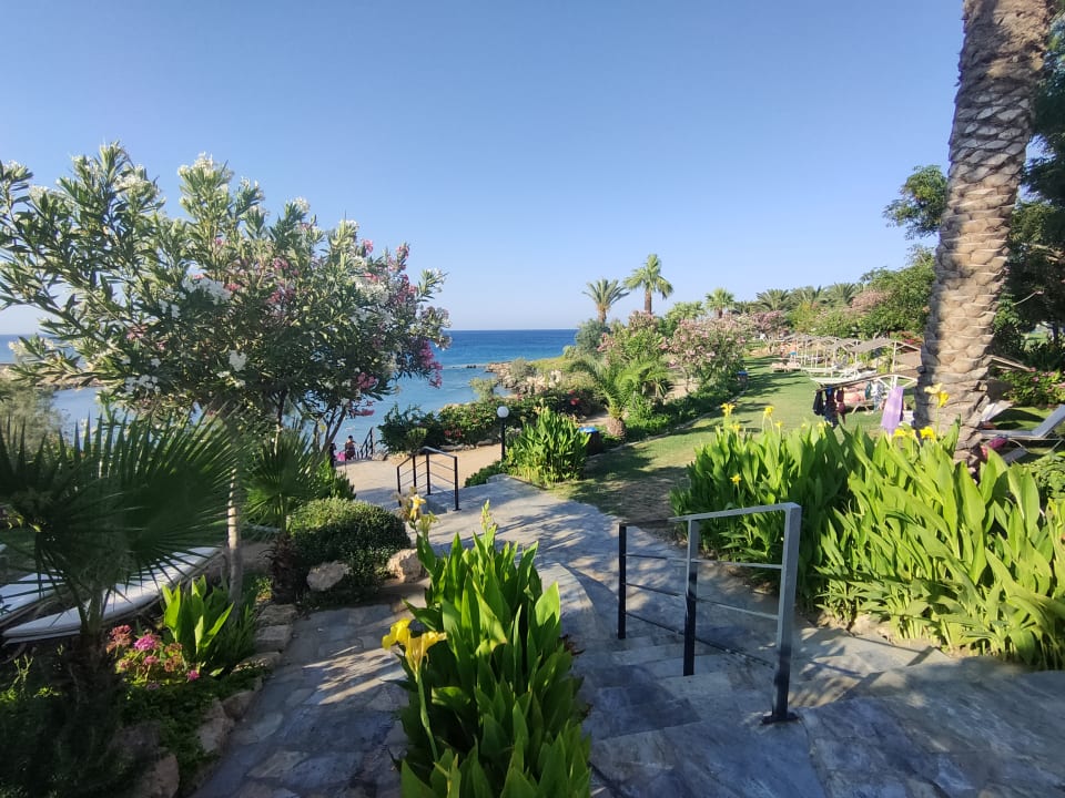 Gartenanlage Crystal Springs Beach Hotel