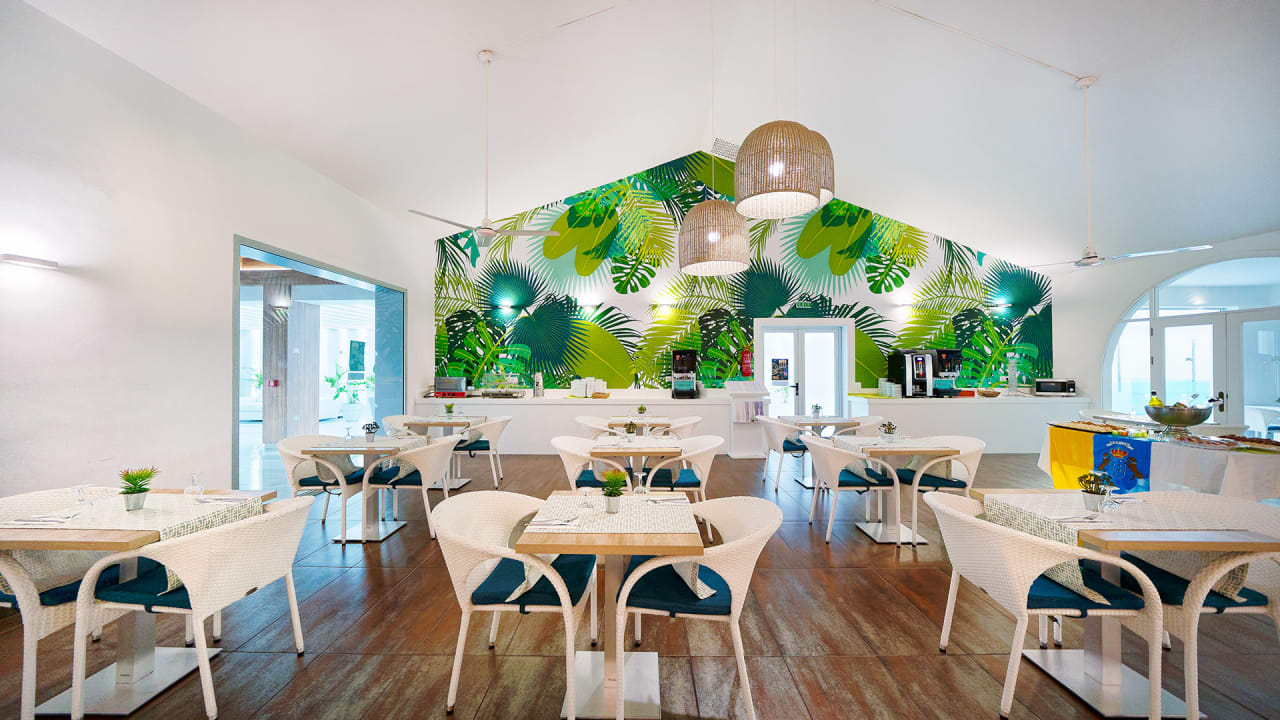 Gastro Canary Garden Club