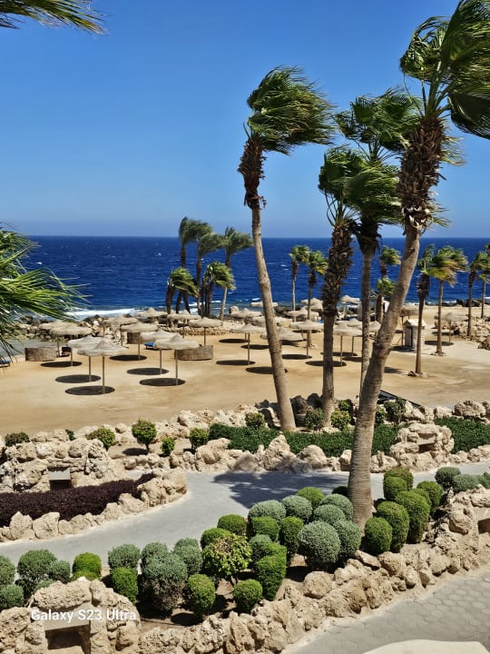 Ausblick Pickalbatros Citadel Resort