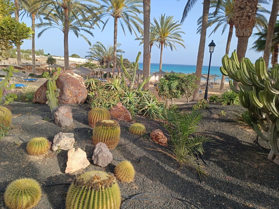 Gartenanlage SBH Costa Calma Beach Resort