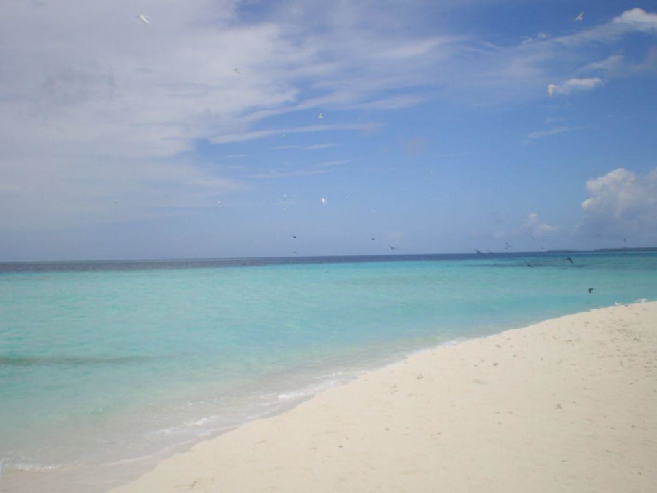 Einsame Sandbank Summer Island Maldives