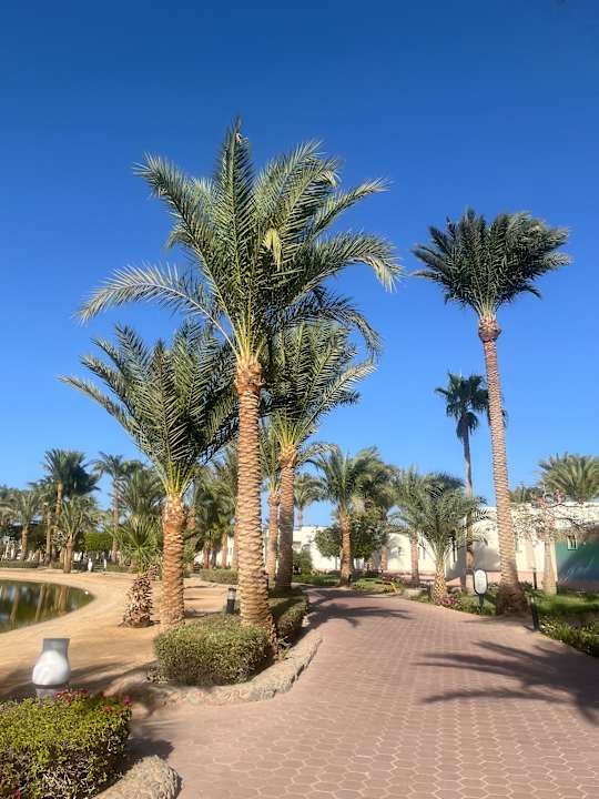 Gartenanlage Pharaoh Azur Resort