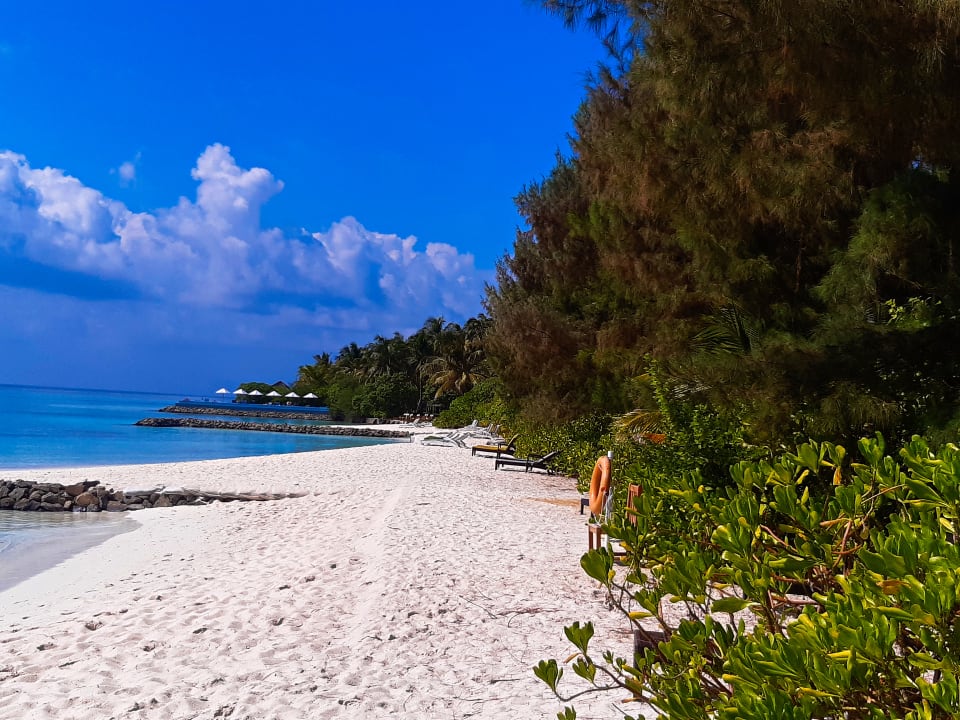 Strand Summer Island Maldives