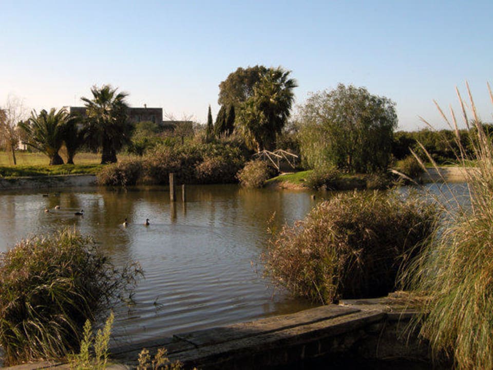 Our little lake B&B Masseria Mazzetta