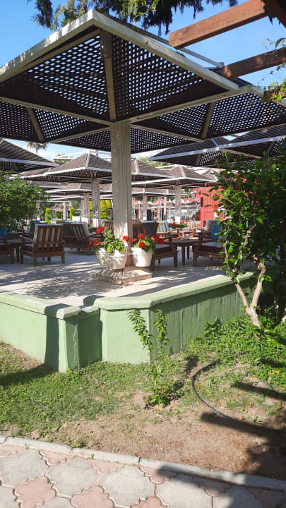 Gastro Kamelya Aishen Club