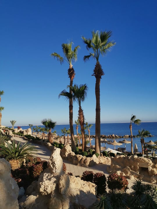 Ausblick Pickalbatros Citadel Resort