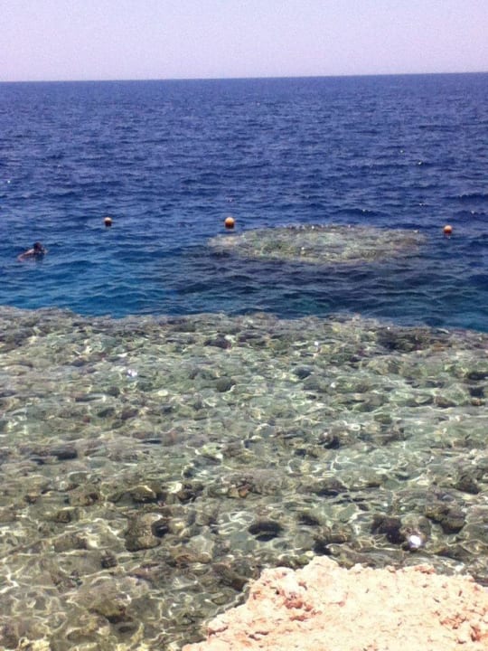 Korallenriff Sharm Plaza