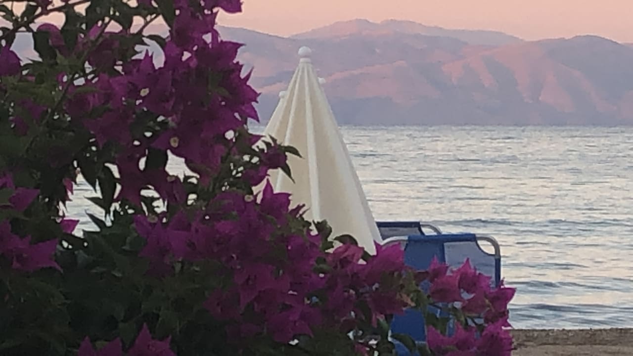 Ausblick Hotel Albatros