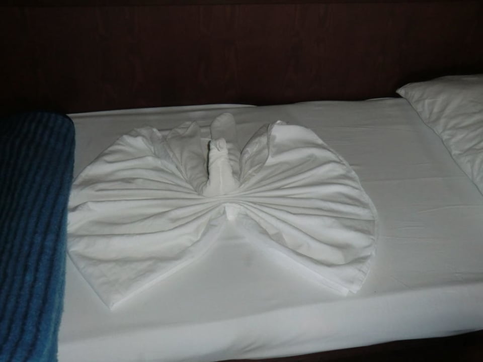 Schwan Hotel Yetkin