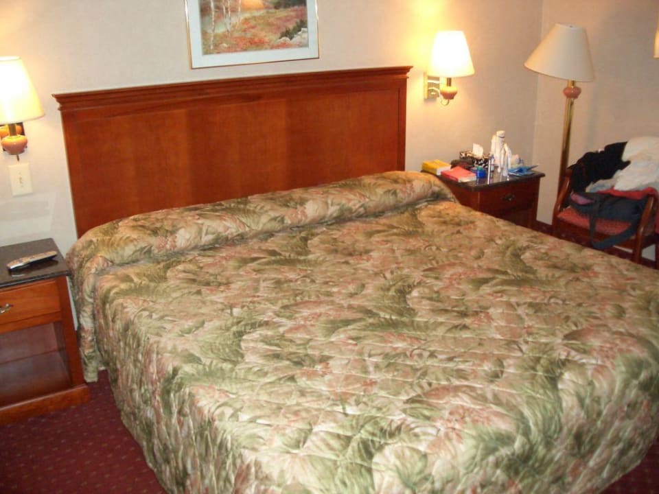 Zimmer Super 8 North Bergen