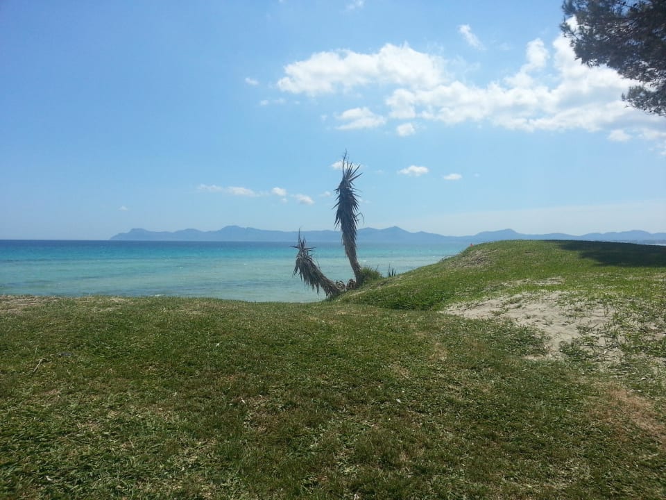 Aussicht Iberostar Waves Playa de Muro