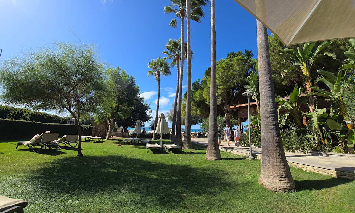 Gartenanlage Arum Barut Collection