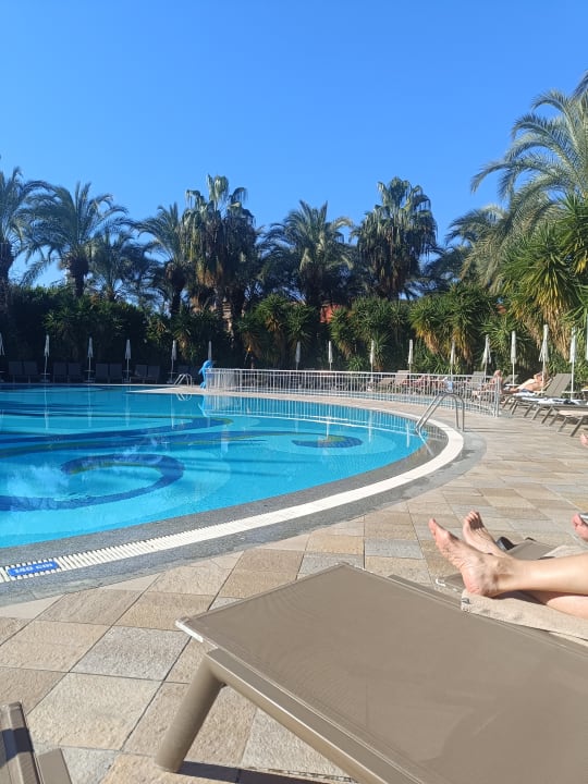 Pool Calimera Hane Garden