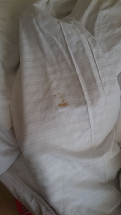 Dreckige Bettwäsche bei Ankunft Beach Albatros Resort