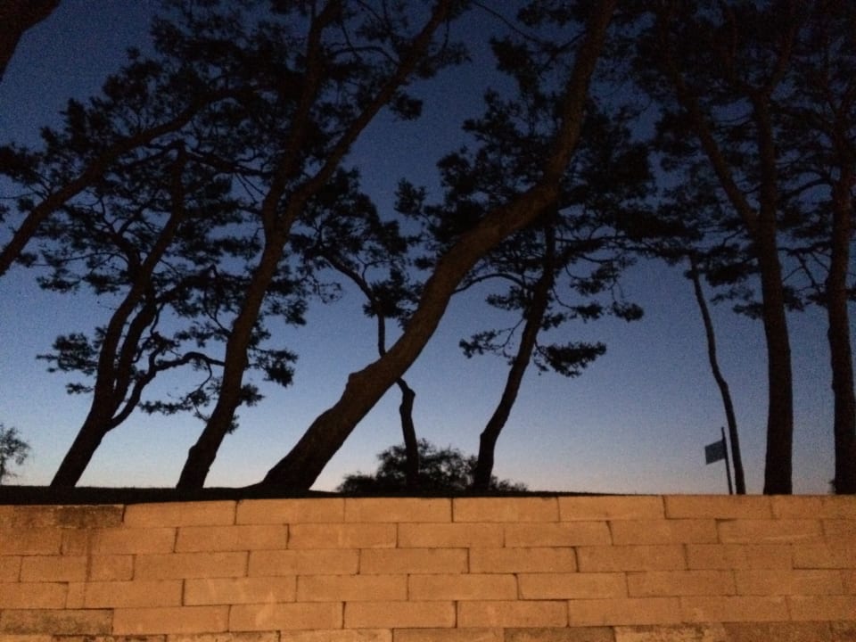 Gartenanlage Iberostar Waves Playa de Muro