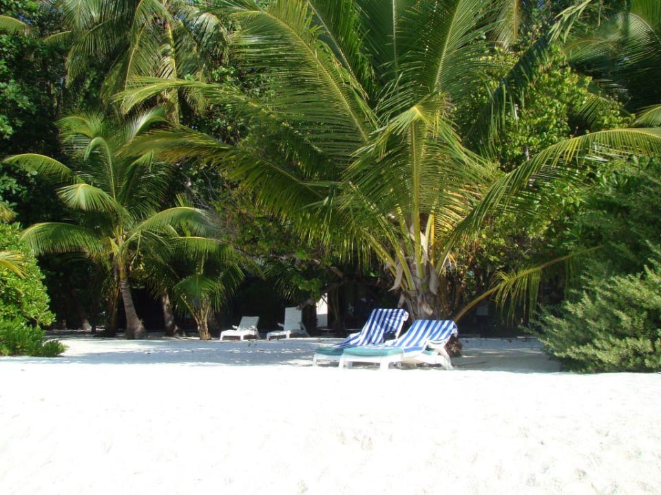 Liegeplatz Meeru Maldives Resort Island