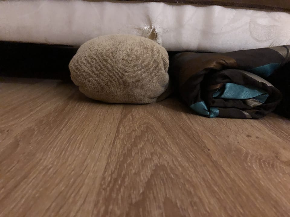 Zimmer Dizalya Palm Garden