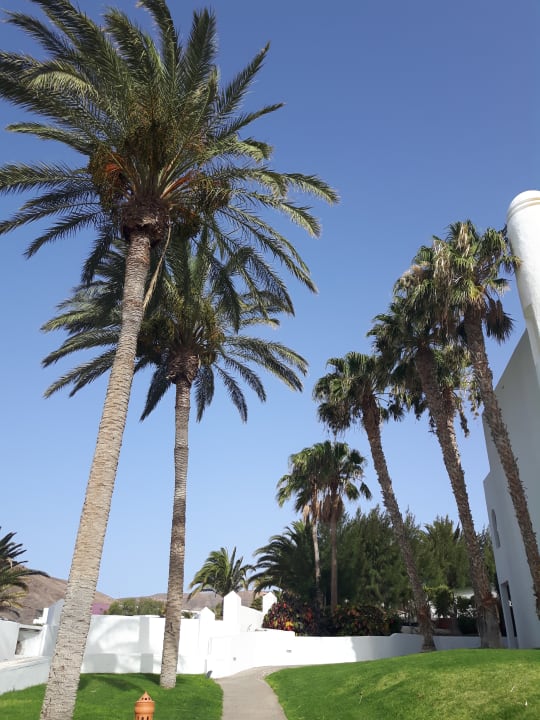 Gartenanlage Club Jandia Princess