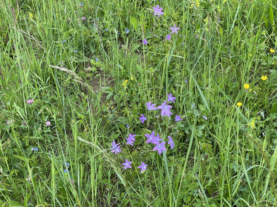 Sonstiges Hotel Altes Gehöft am Lormanberg