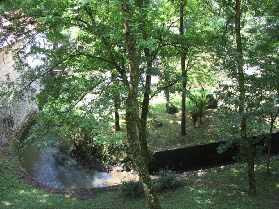 Green park with stream by the hotel Postojna Cave Hotel Jama