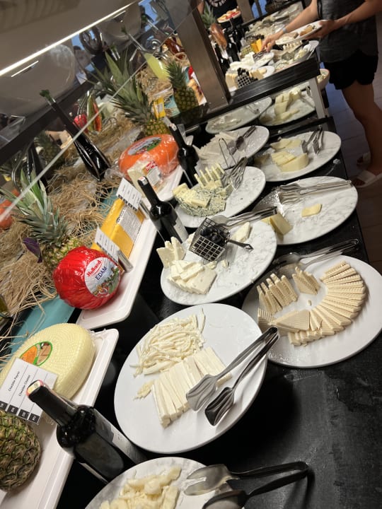 Gastro Paloma Oceana