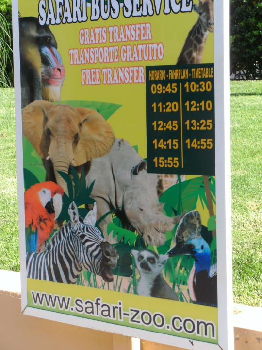 Abfahrplan vom Safaribus allsun App.-Hotel Orient Beach