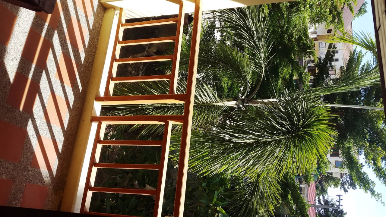 Balcony View Paddy's Palms Resort