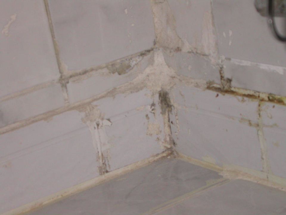 Mängel im Bad Regency Plaza Aqua Park & Spa