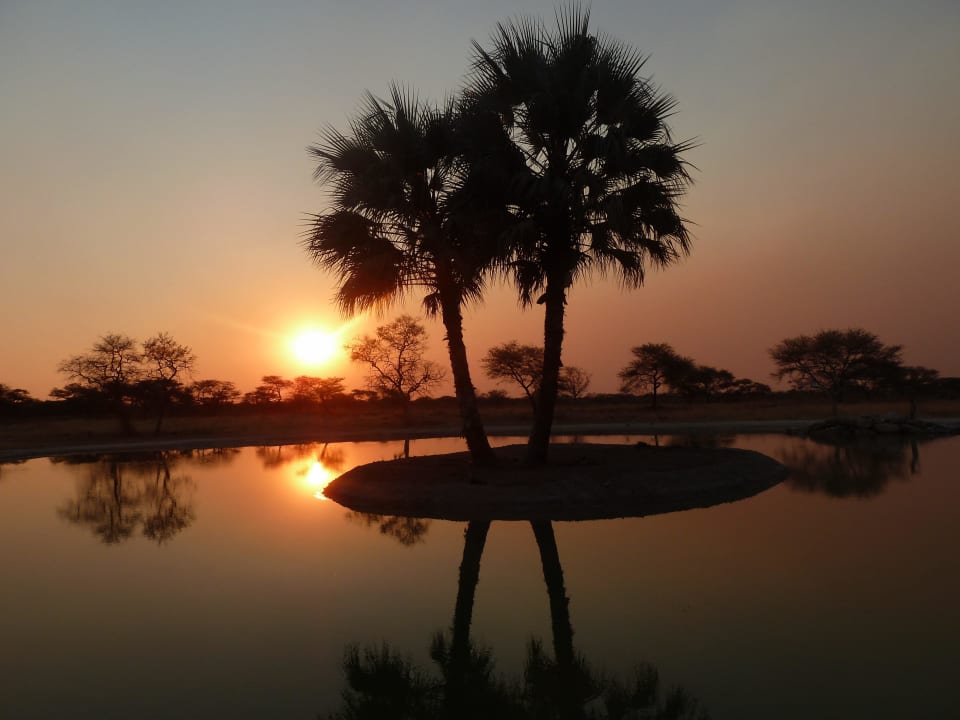 Wasserloch Onguma Game Reserve