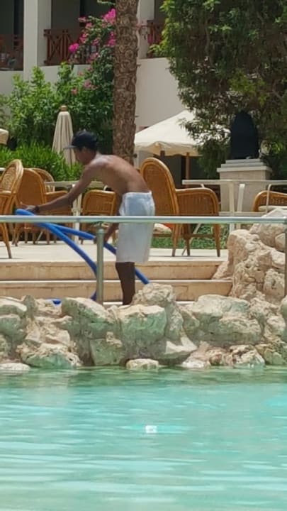 Pool Ghazala Gardens