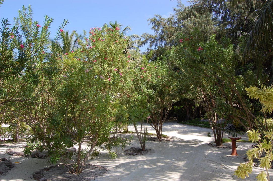 Hotel Adaaran Select Hudhuran Fushi Adaaran Select Hudhuran Fushi - Premium All Inclusive