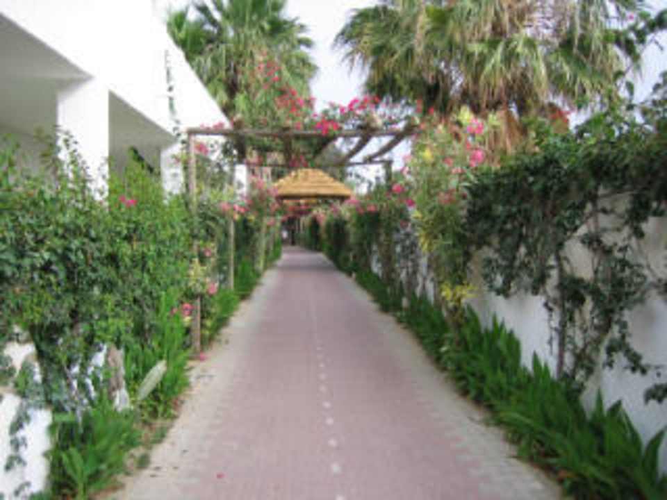 Weg zum Strand Hotel Nesrine