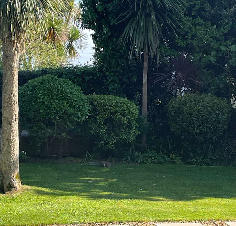 Gartenanlage Hotel Gyllyngvase House