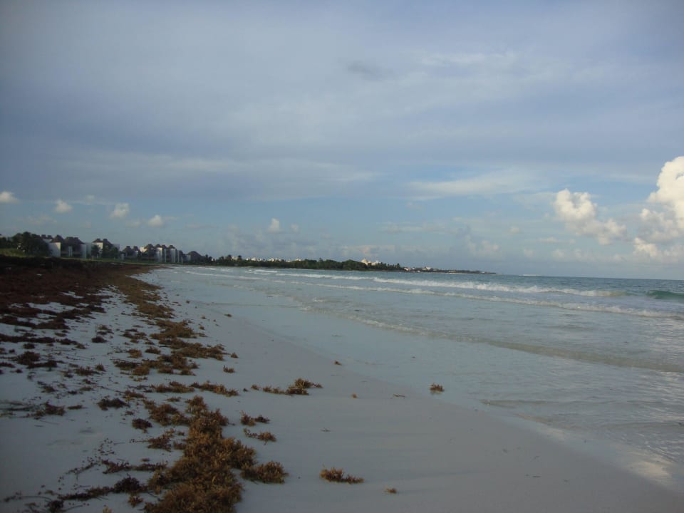 Hotel Catalonia Playa Maroma Catalonia Playa Maroma