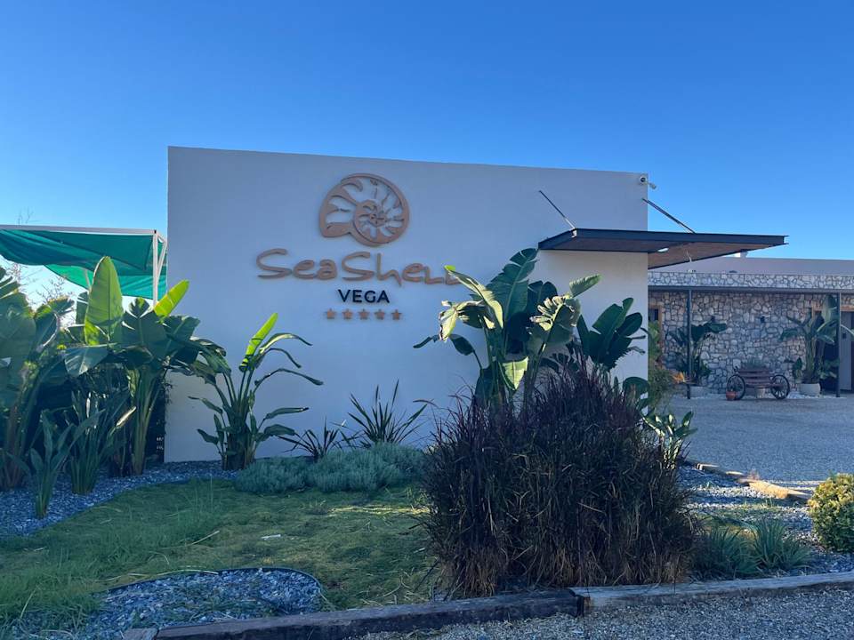 Strand Seashell Vega