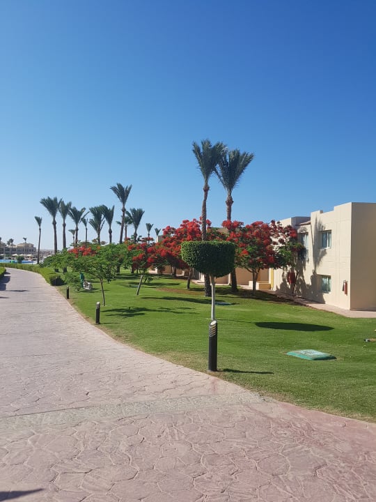 Gartenanlage Cleopatra Luxury Resort Makadi Bay