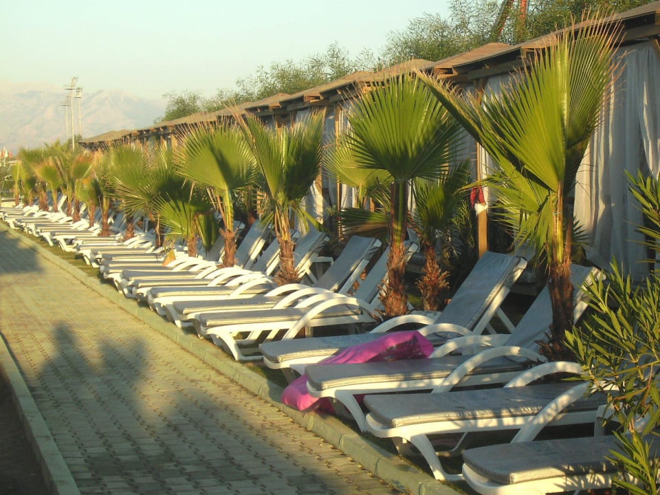 Hotel Delphin Imperial Hotel Delphin Imperial