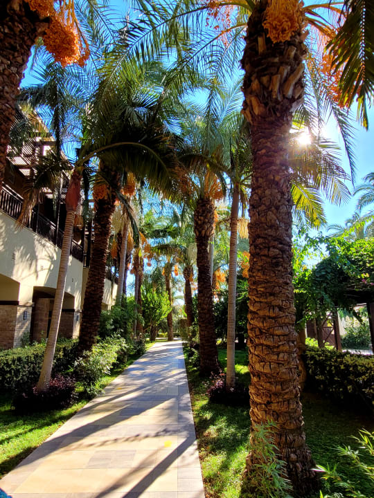 Außenansicht Sunis Kumköy Beach Resort Hotel & Spa