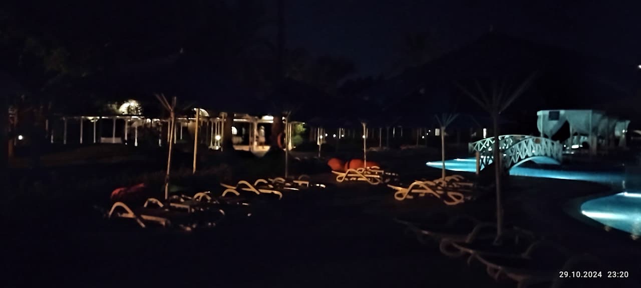 Sonstiges Desert Rose