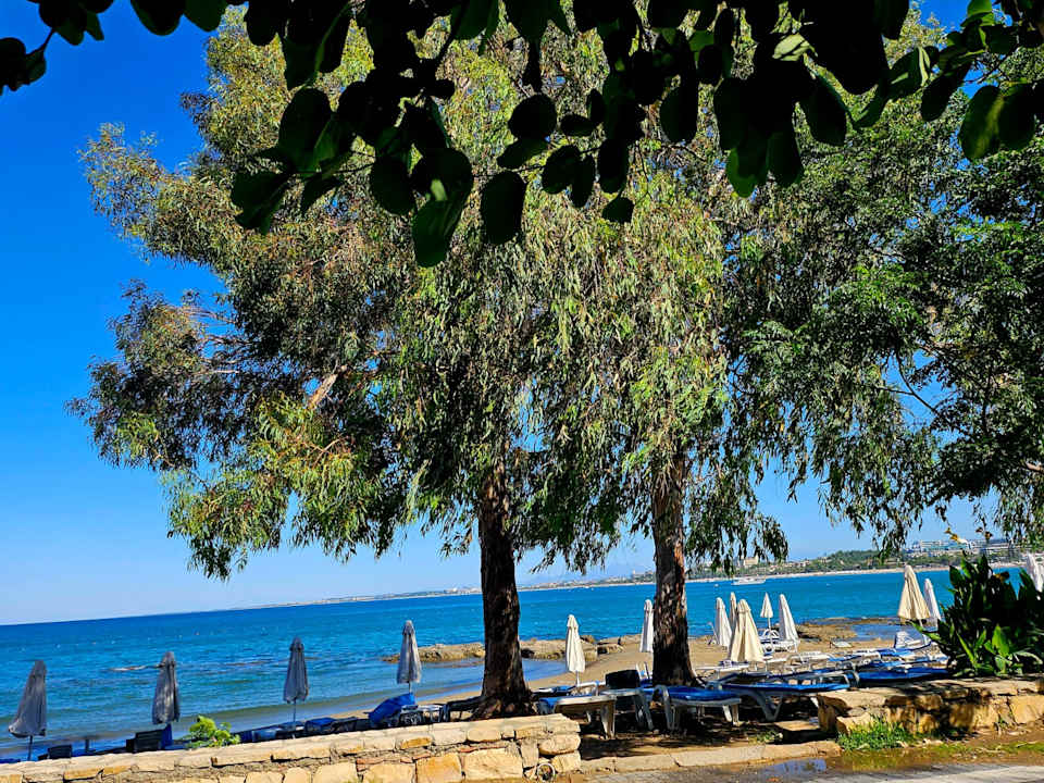 Ausblick Hotel Neptün/Neptun