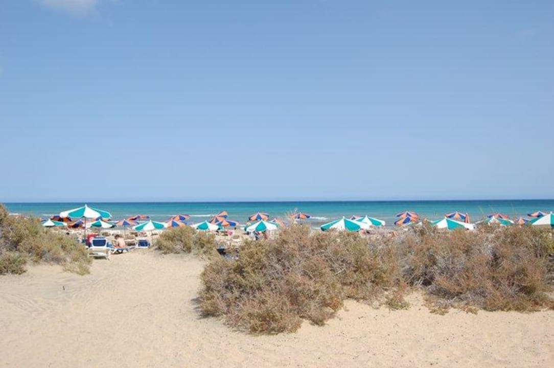 Plaża przy hotelu SBH Hotel Taro Beach