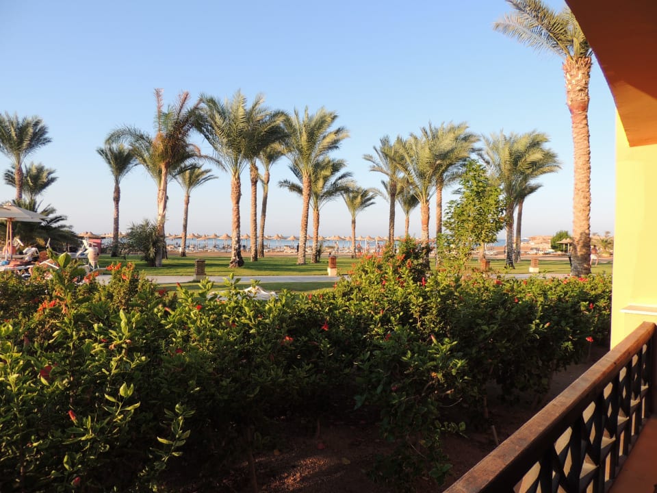 Unser Ausblick  Stella Beach Resort & Spa Makadi Bay