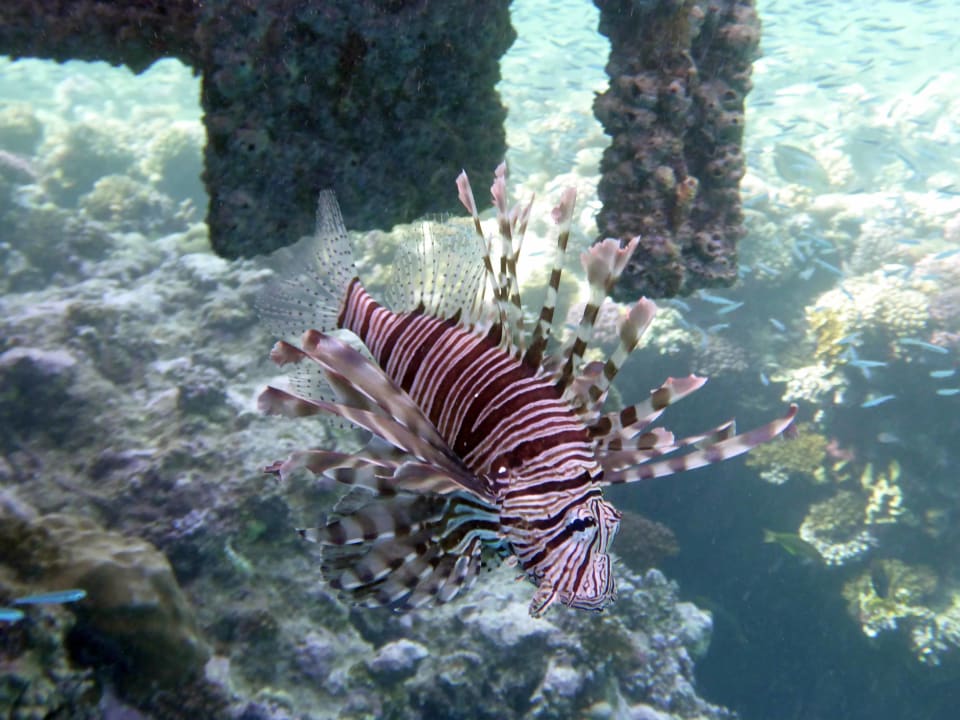 Strand Casa Mare Resort