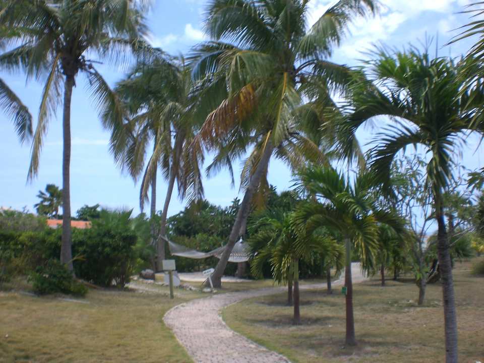 Weg zum Strand Anacaona Boutique Hotel