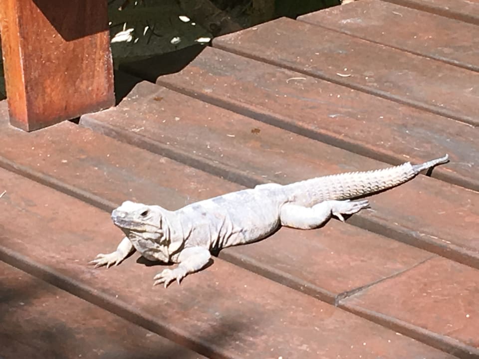 Sonstiges Akumal Bay Beach & Wellness Resort