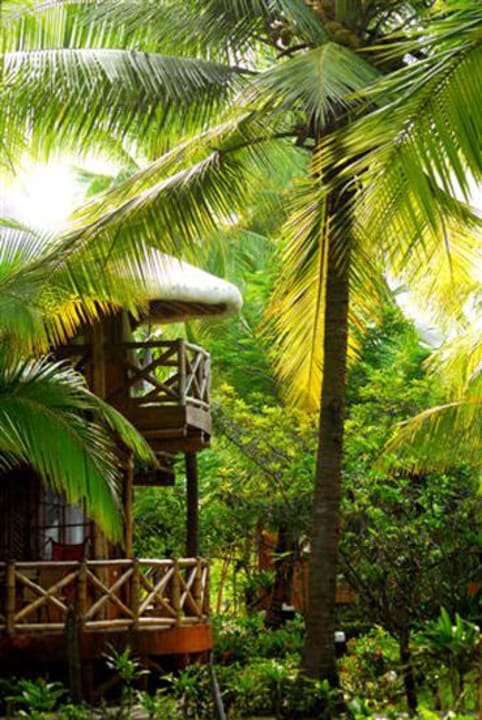 Urban view Hotel Timarai Bamboo Resort