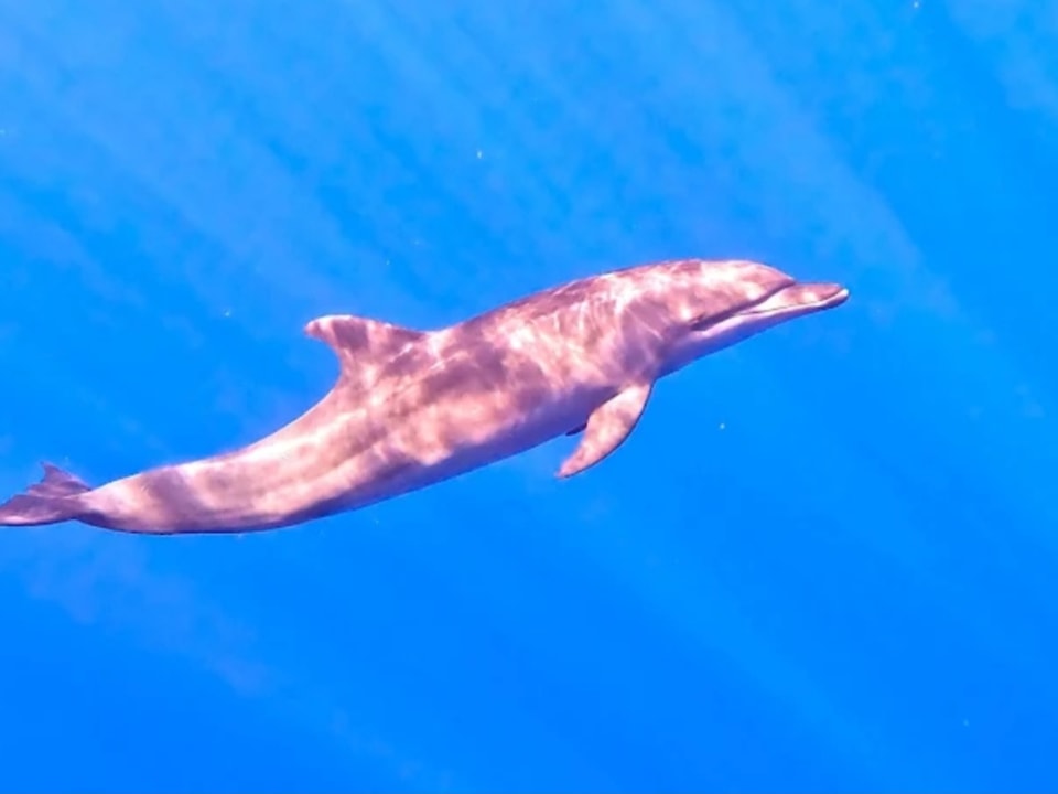 Sport & Freizeit Malikia Resort Abu Dabbab