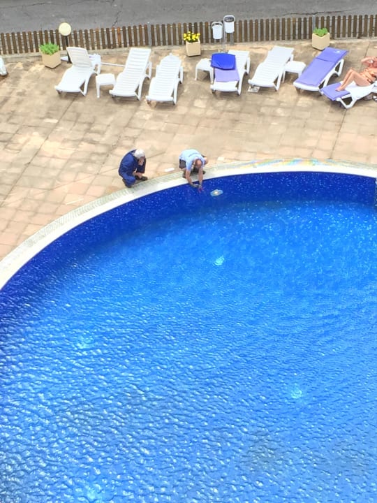 Poolarbeiten Orchidea Spa Boutique