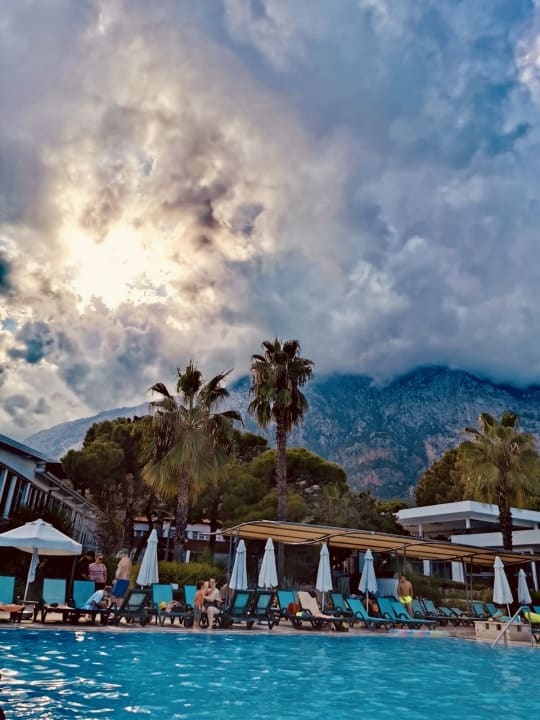 Pool Crystal Flora Pearl Collection