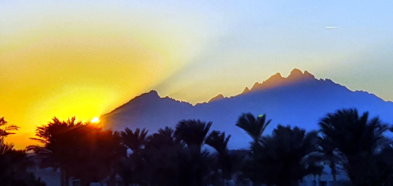 Außenansicht Desert Rose